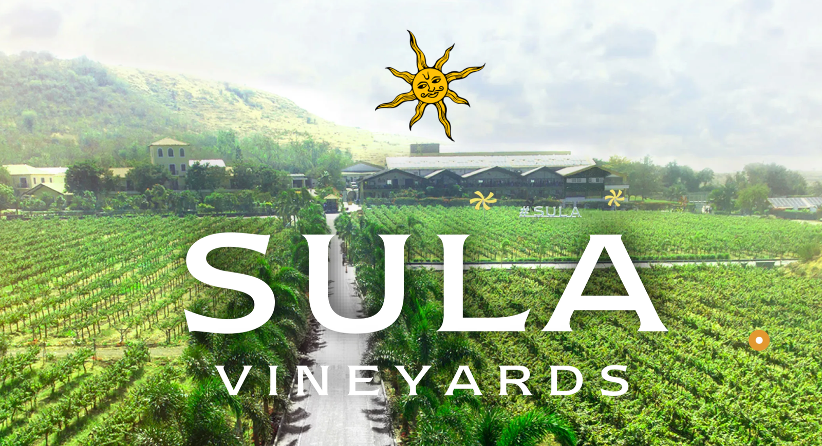 (Image credit: https://sulavineyards.com)